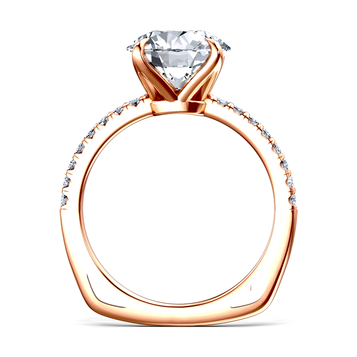 Image for The Serena