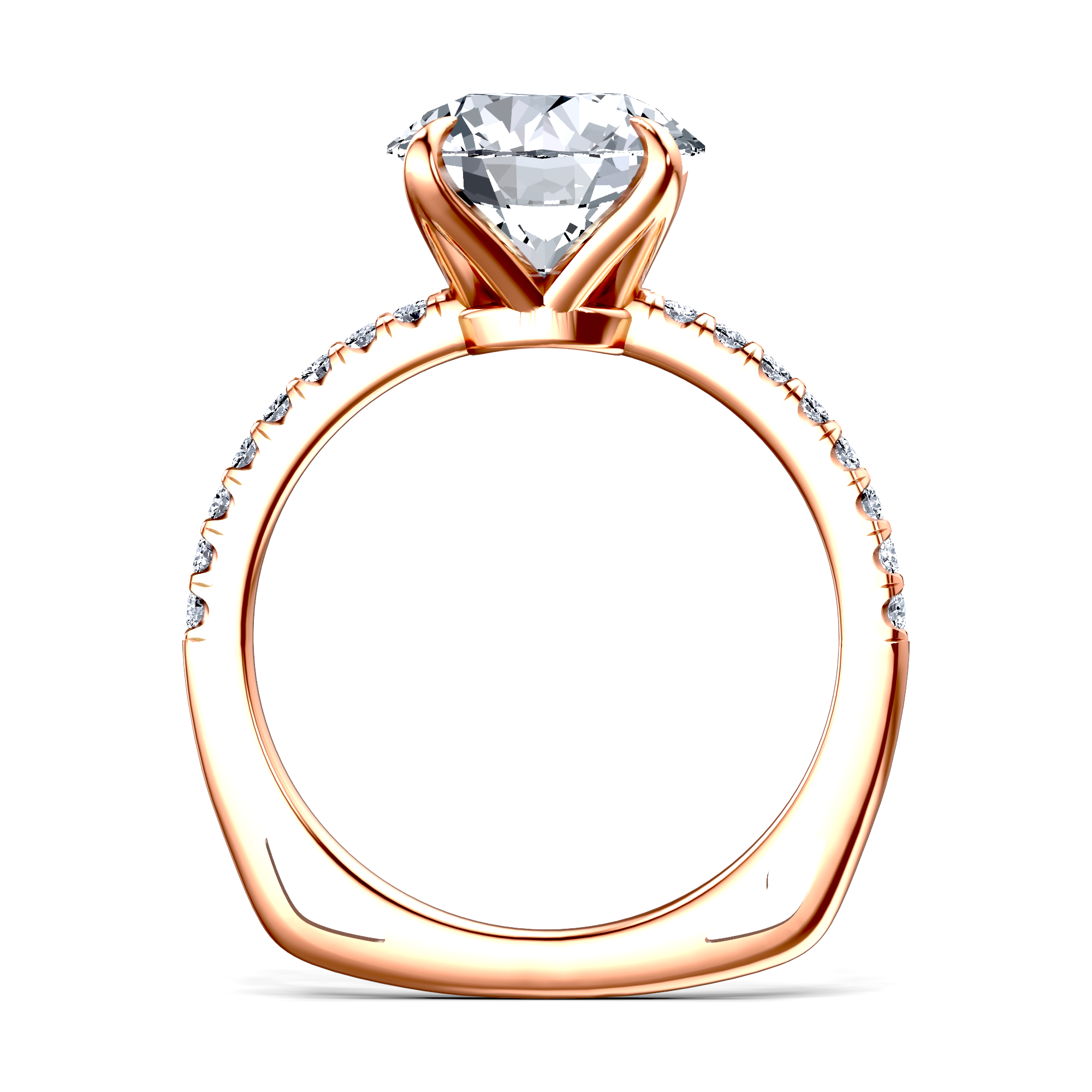 Image for The Serena