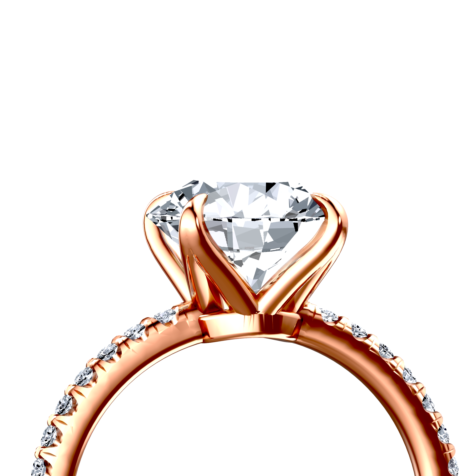 Image for The Serena