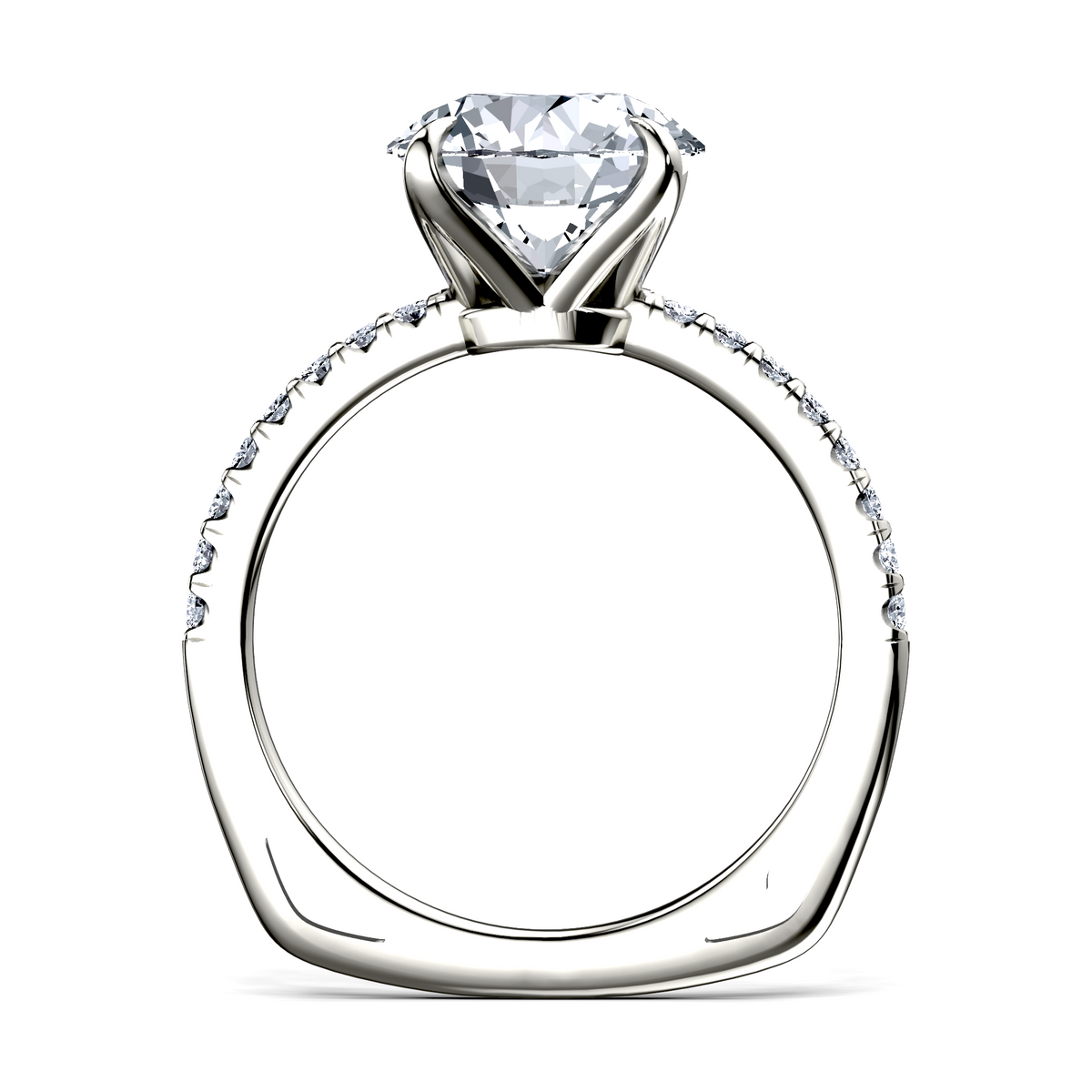 Image for The Serena