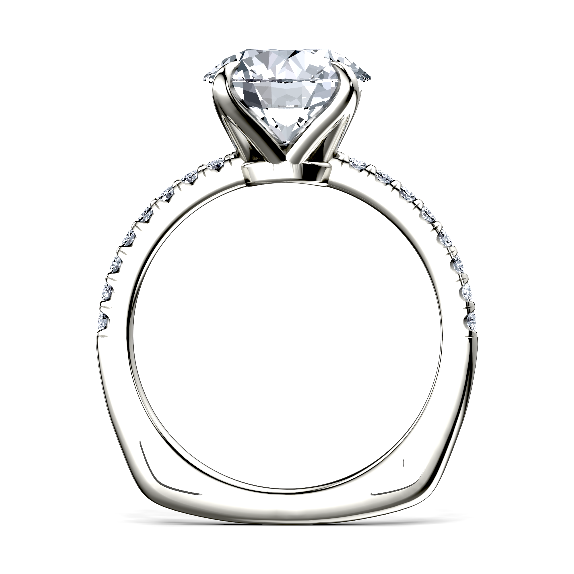 Image for The Serena
