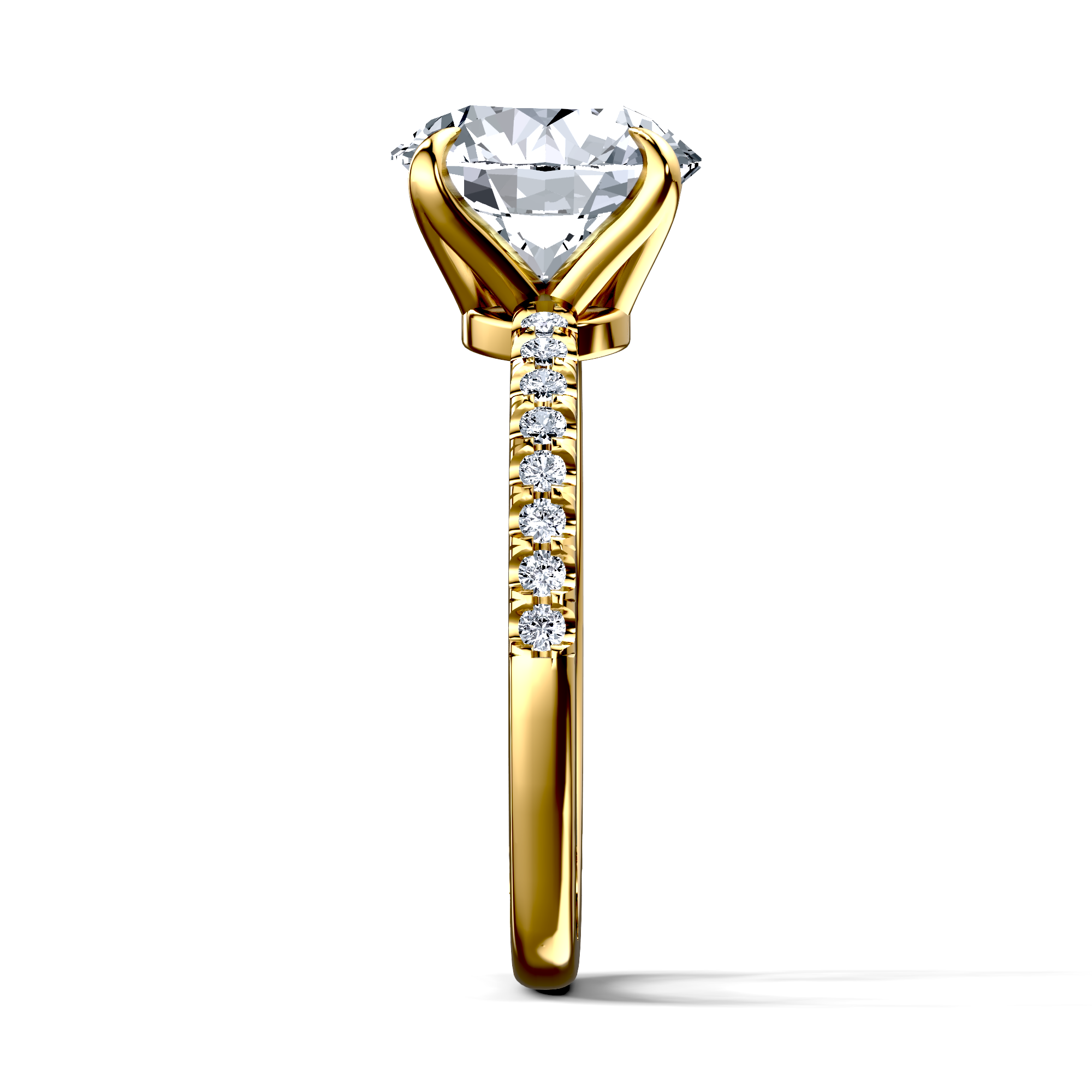 Image for The Serena