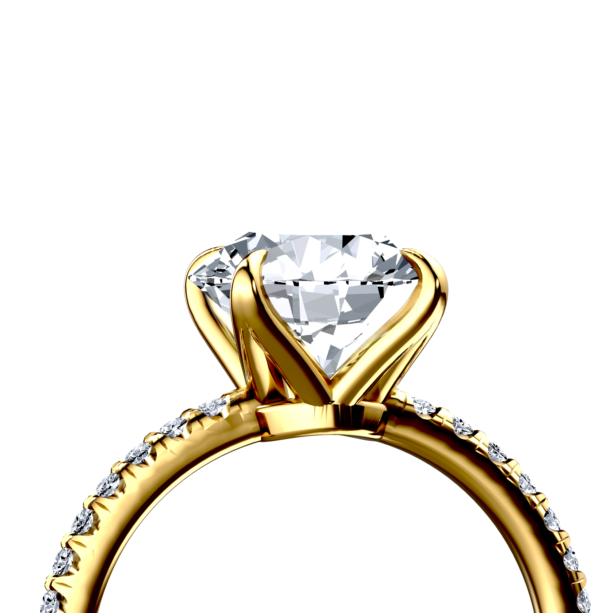 Image for The Serena