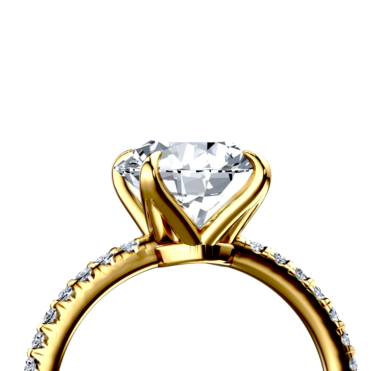 Image for The Serena