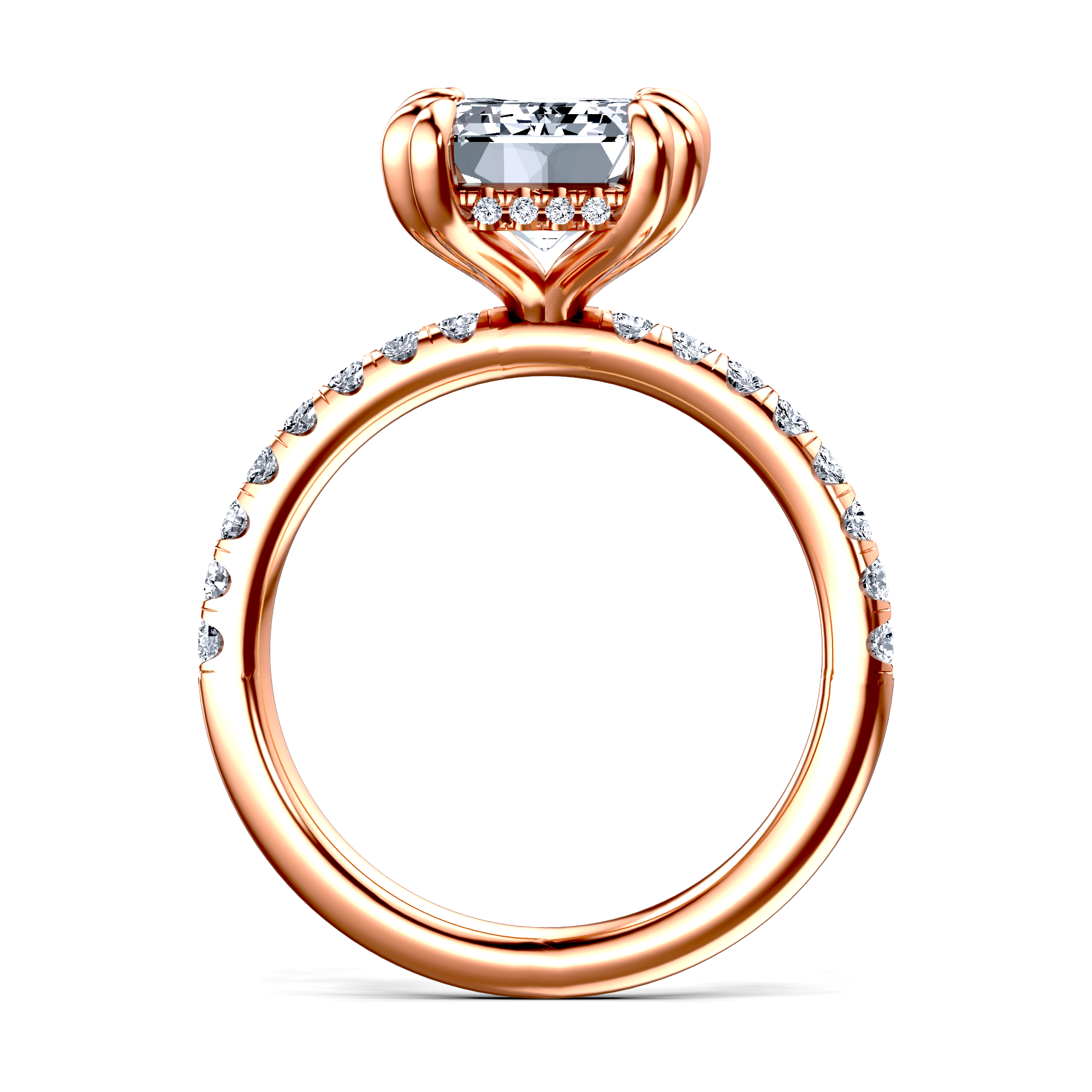 Image for The Amara