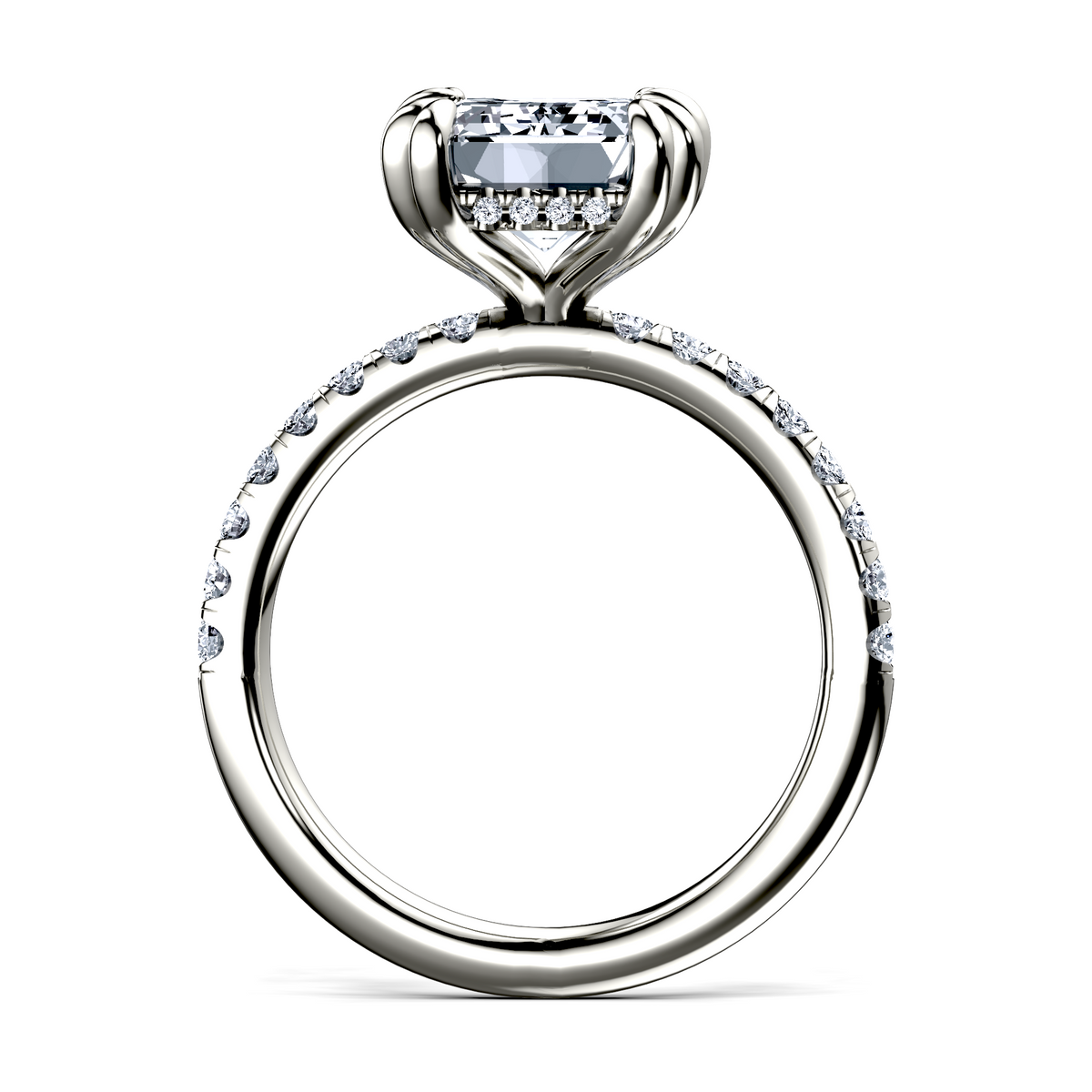 Image for The Amara