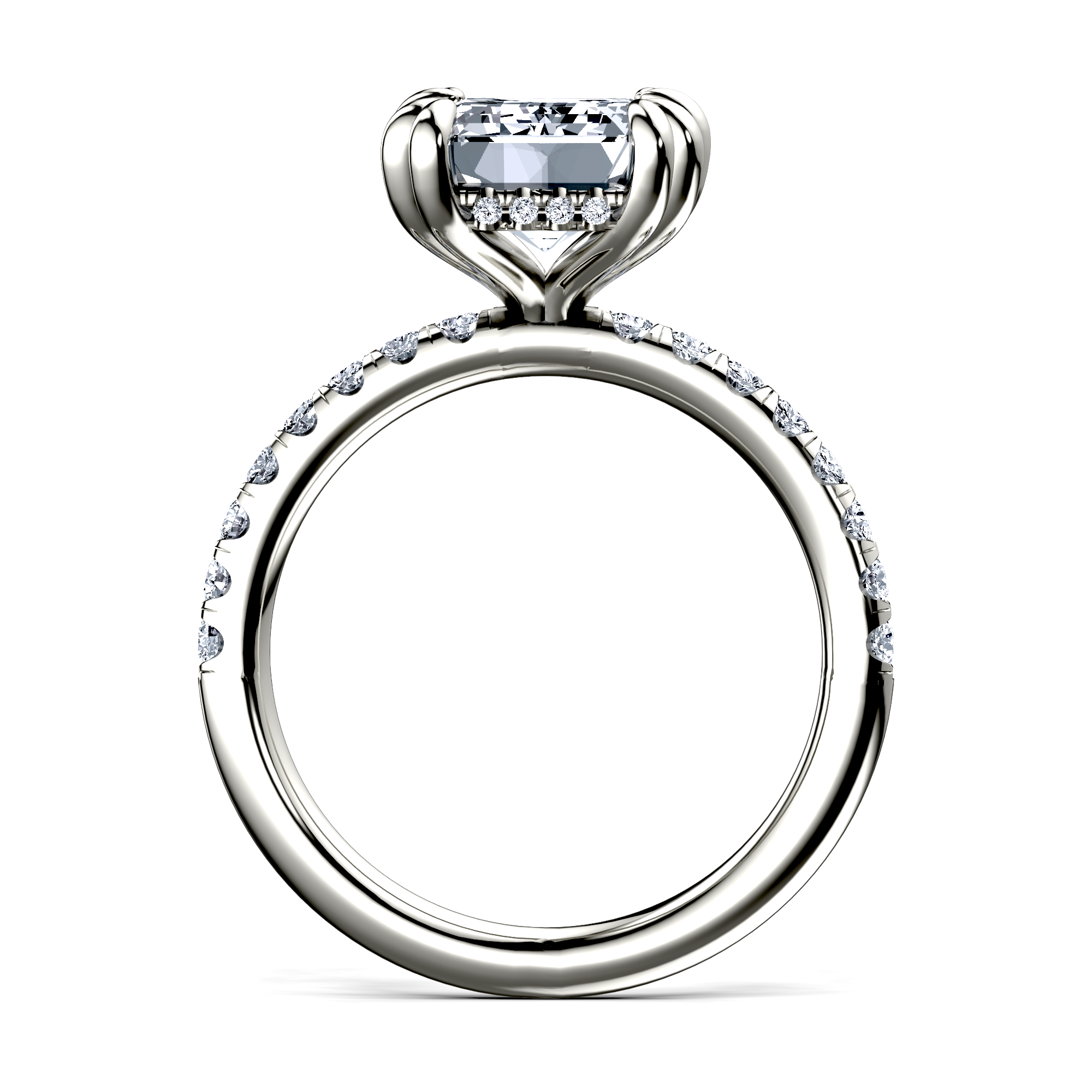 Image for The Amara