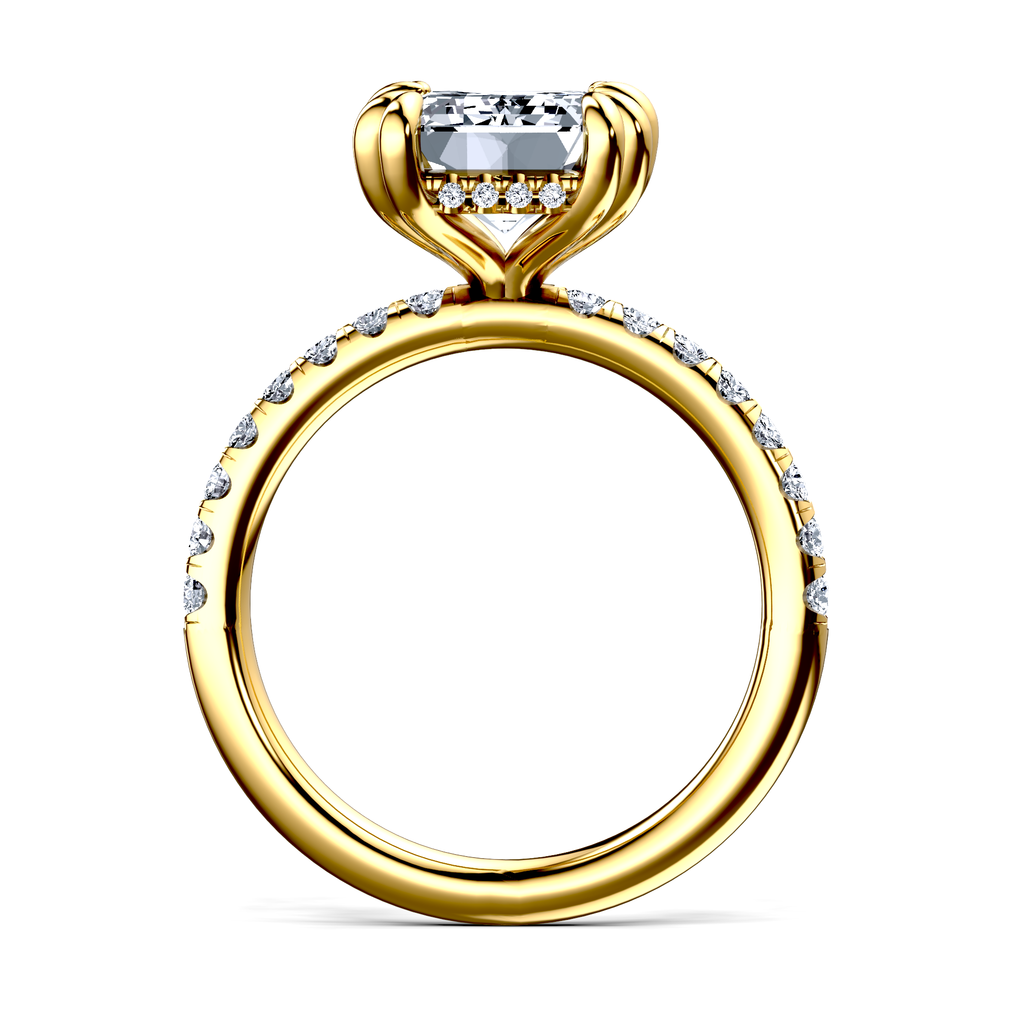 Image for The Amara