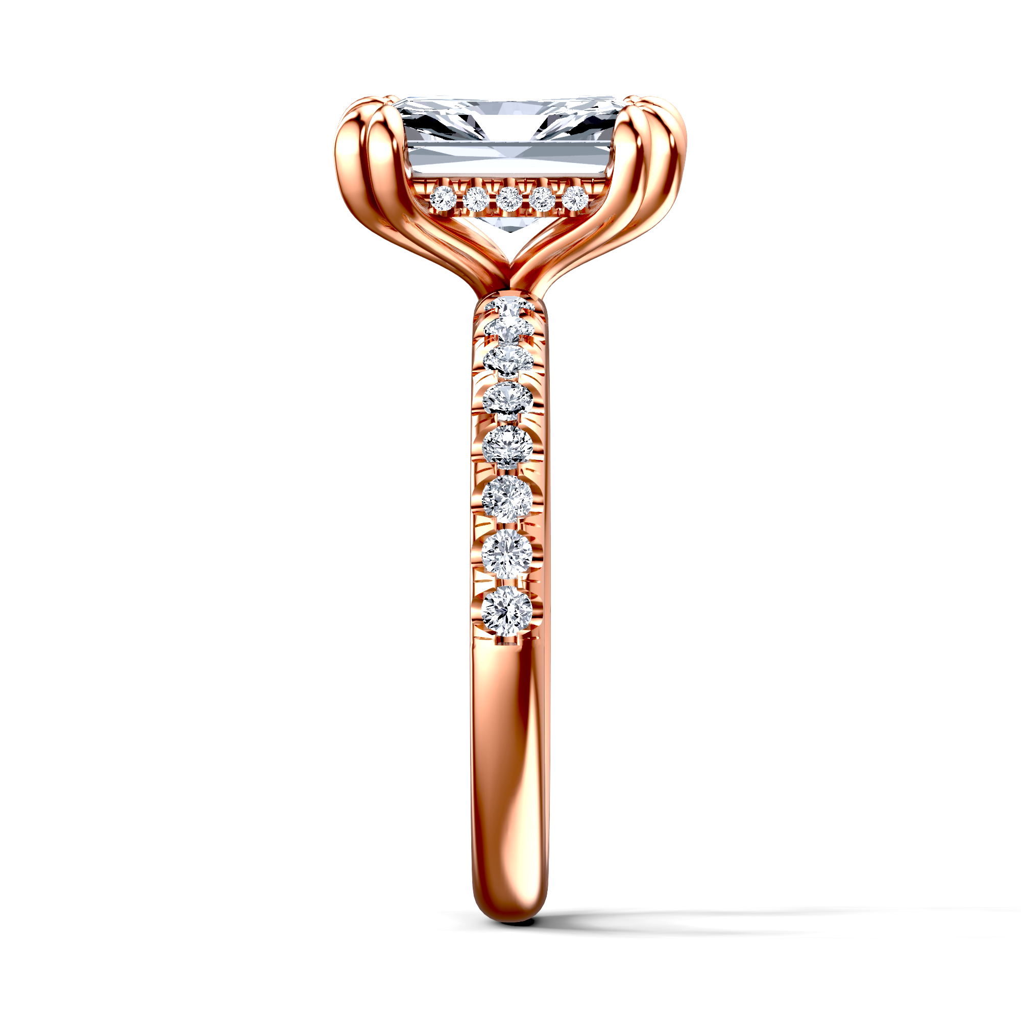 Image for The Amara