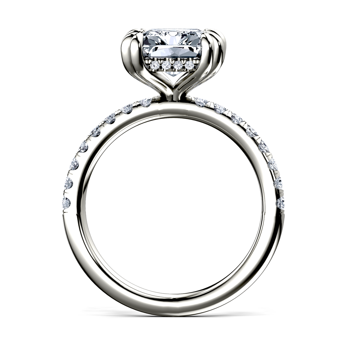 Image for The Amara
