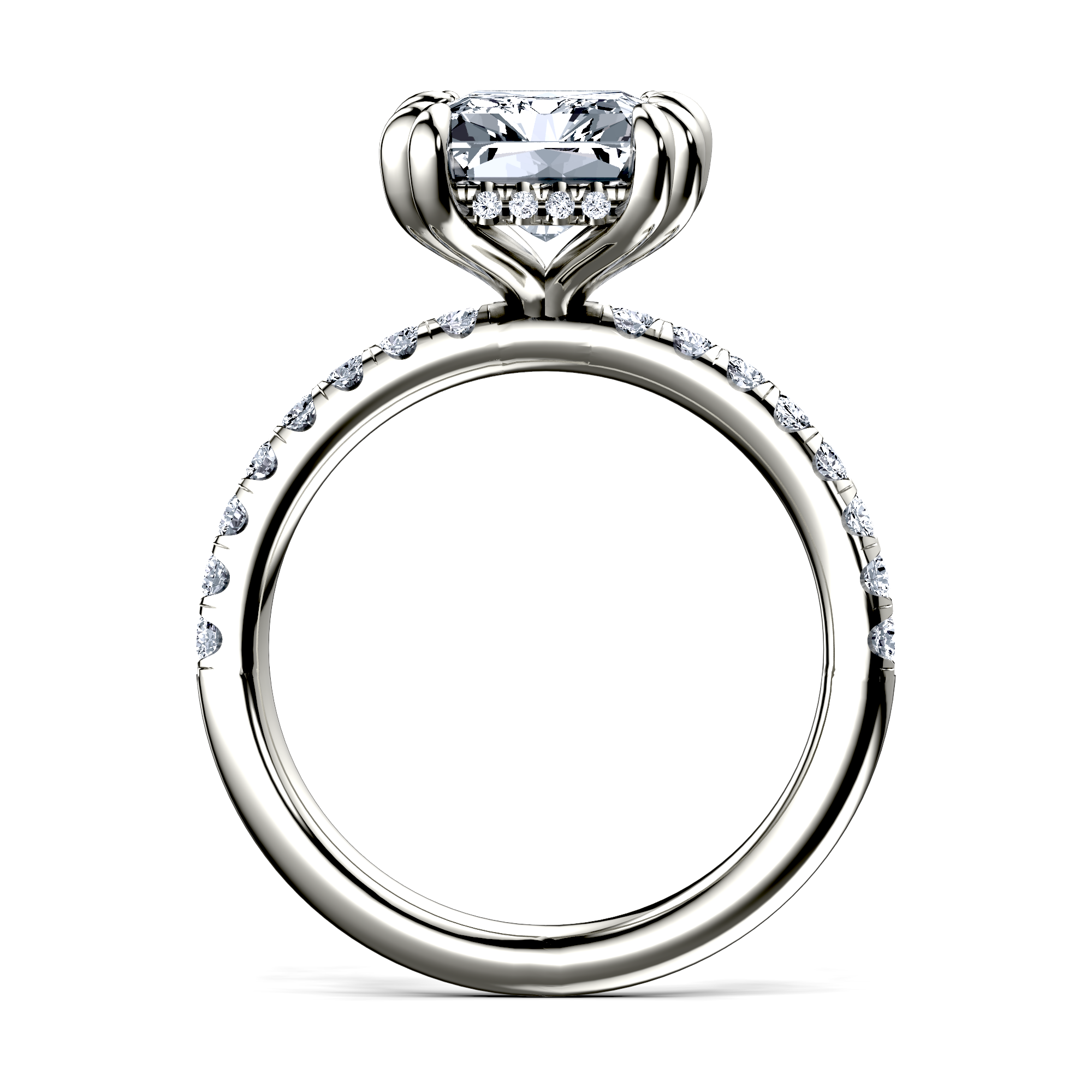 Image for The Amara