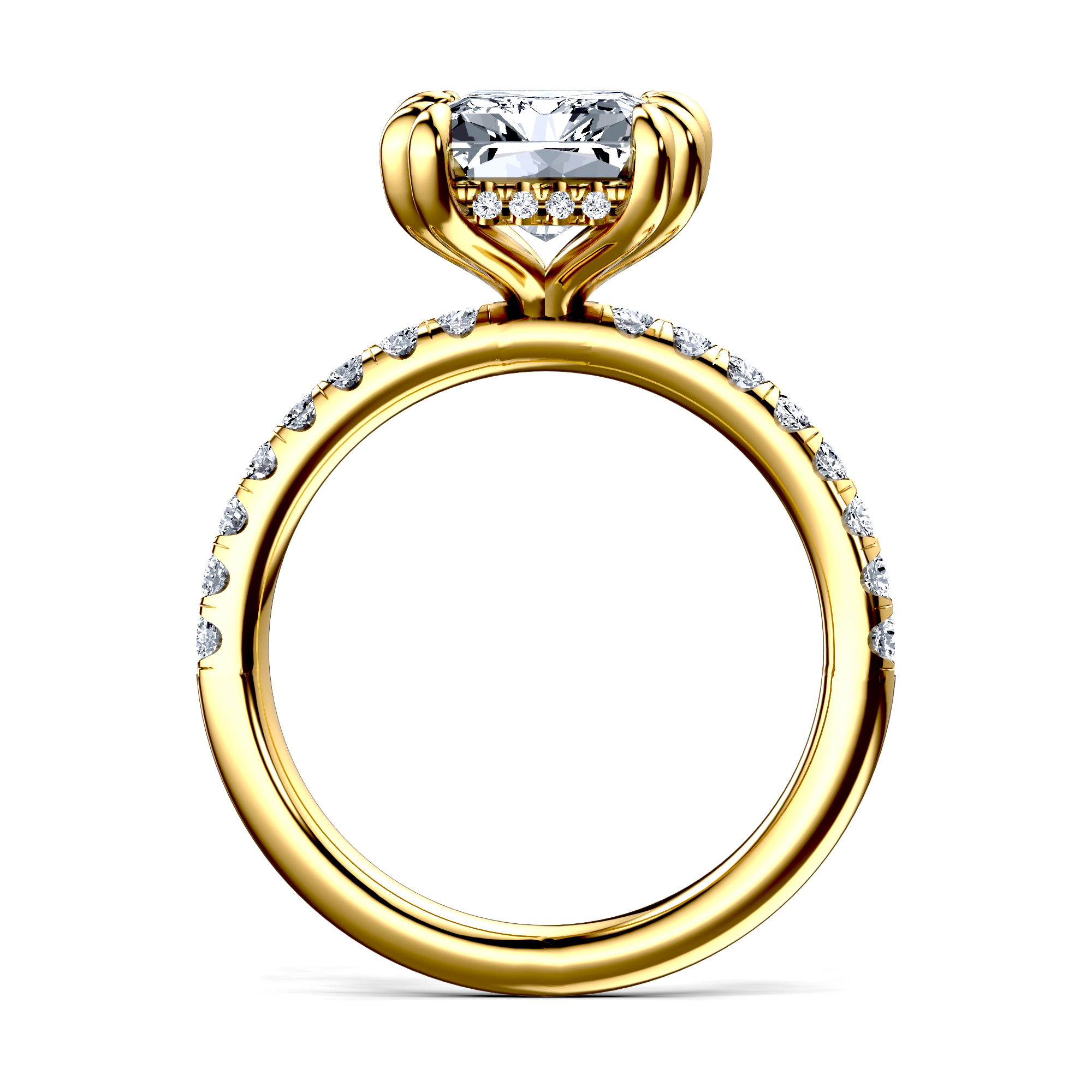 Image for The Amara
