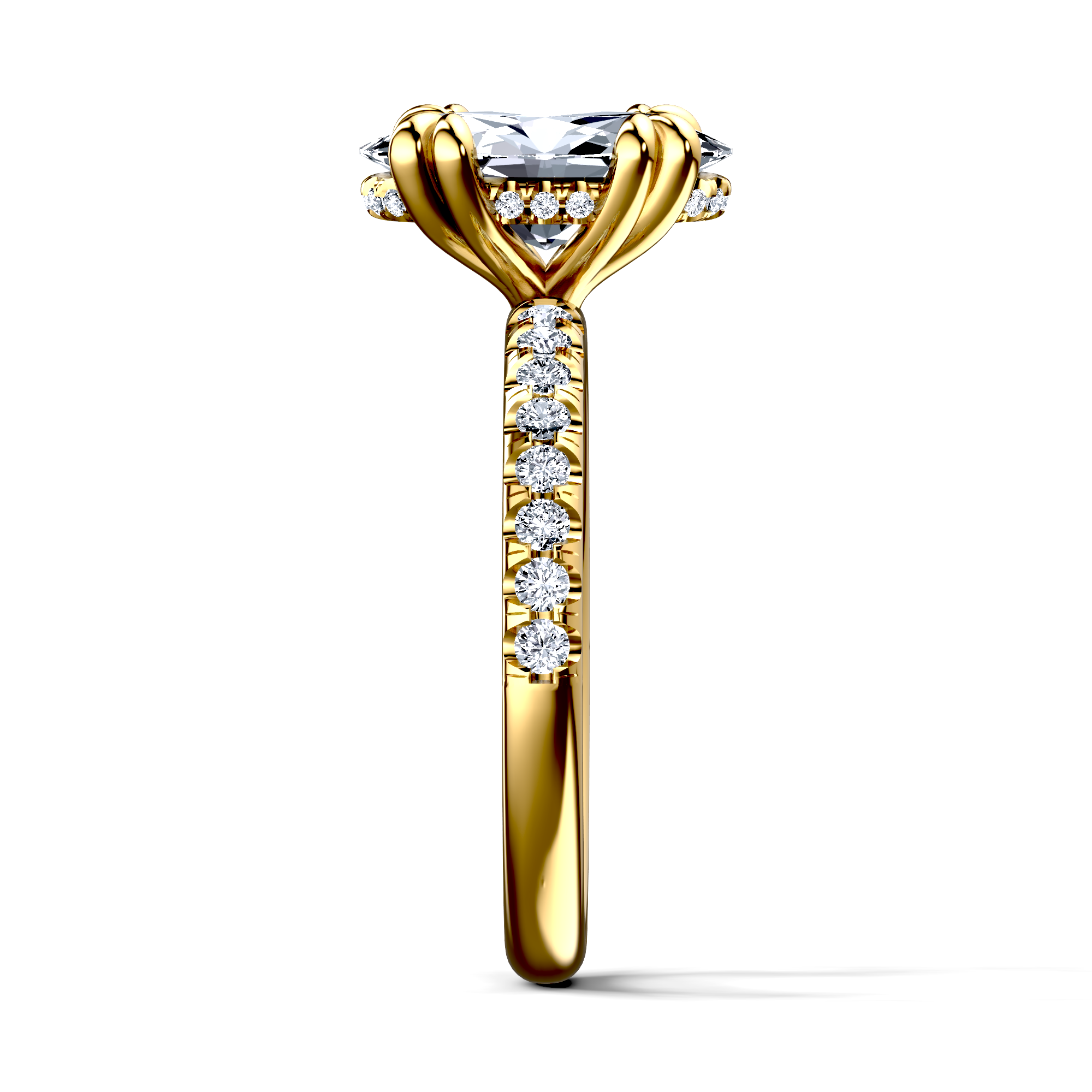 Image for The Amara