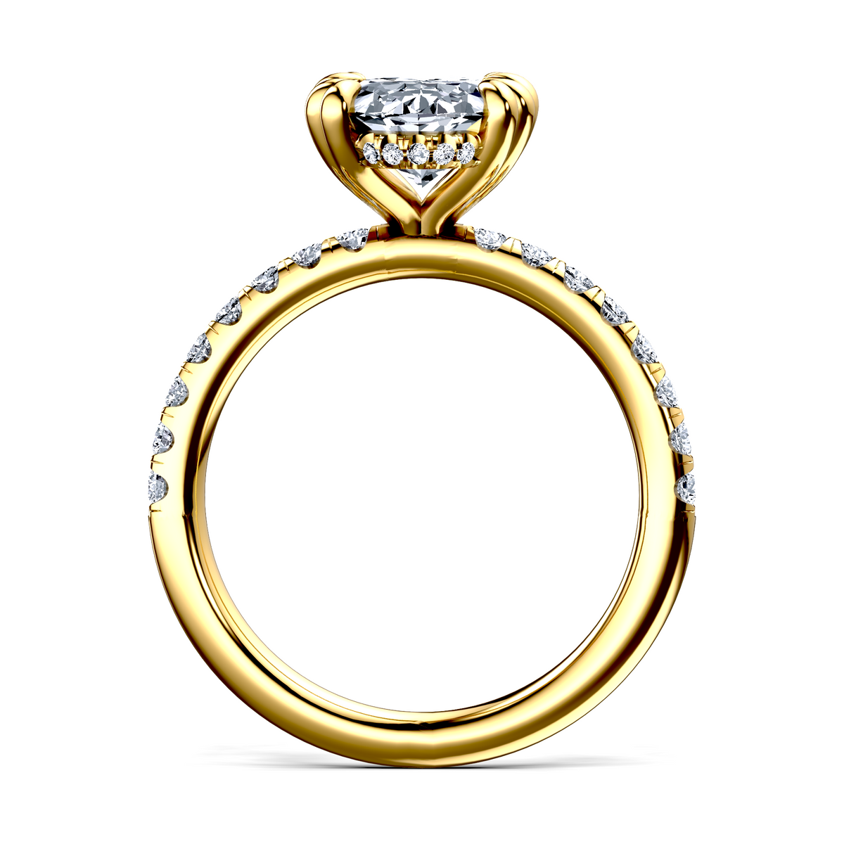 Image for The Amara