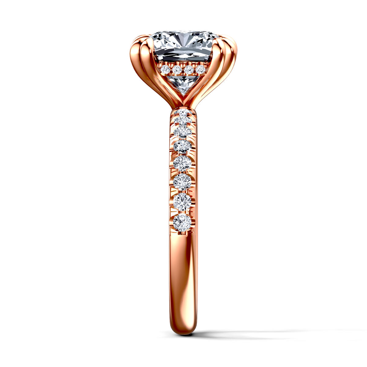 Image for The Amara