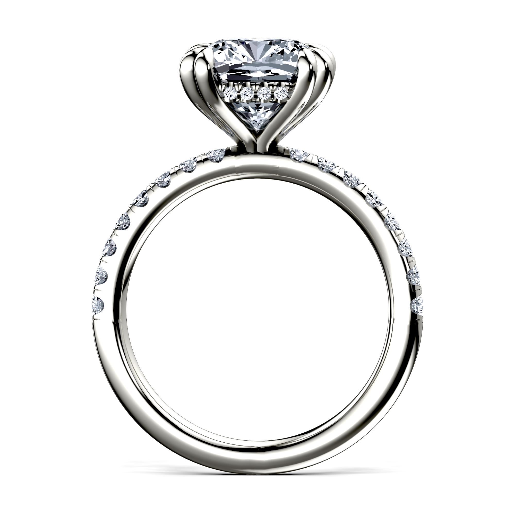Image for The Amara