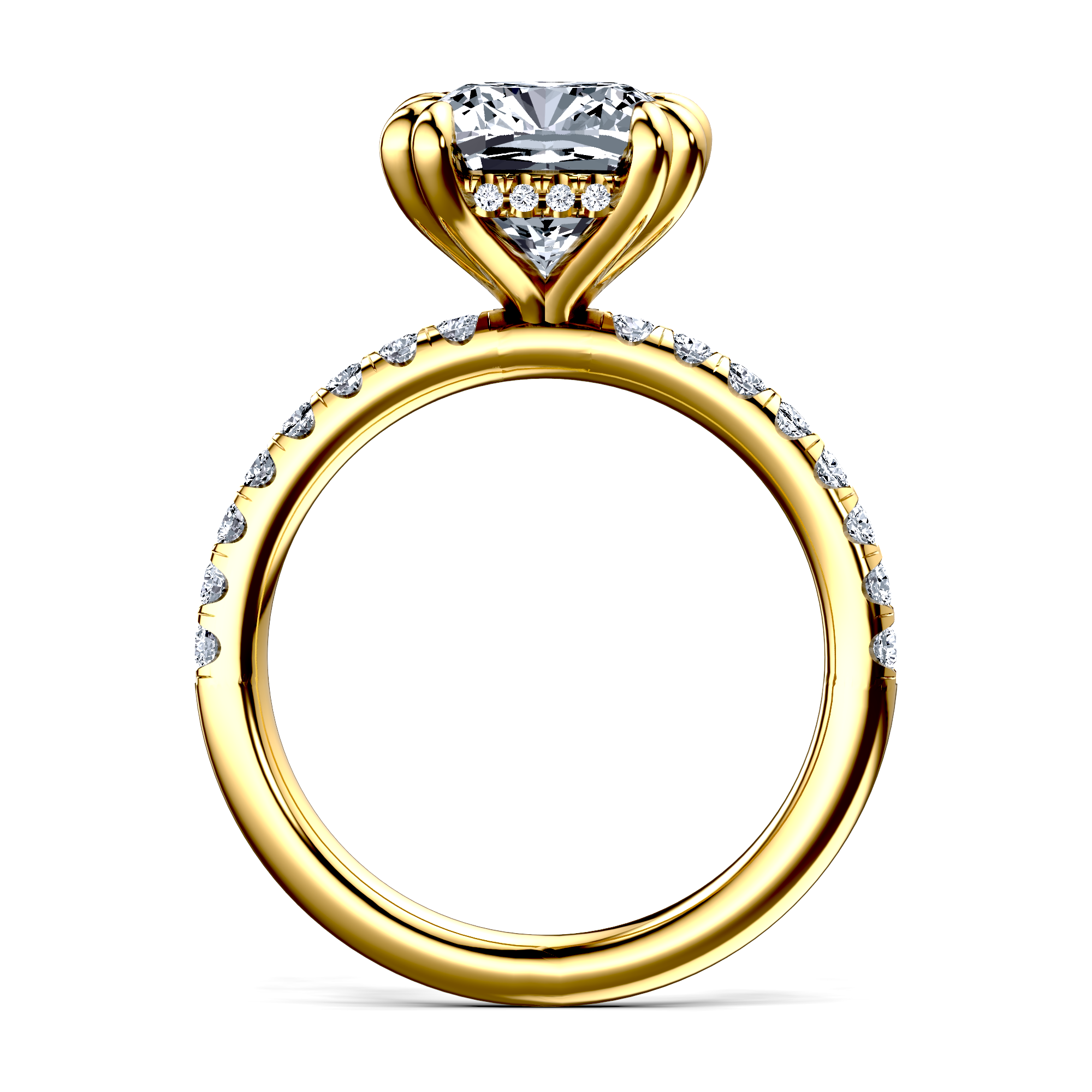 Image for The Amara