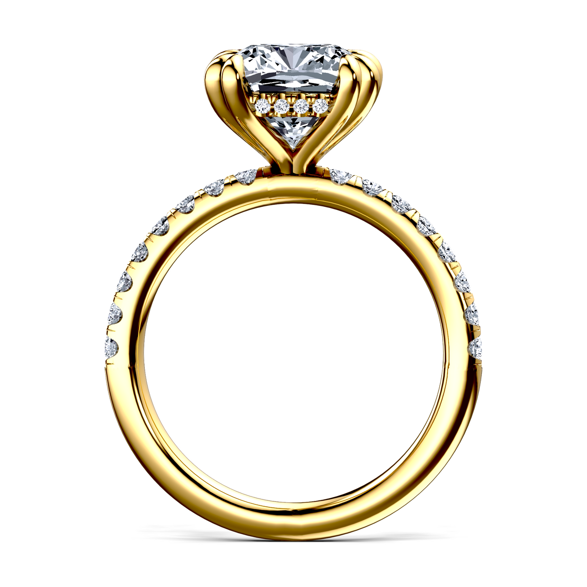 Image for The Amara