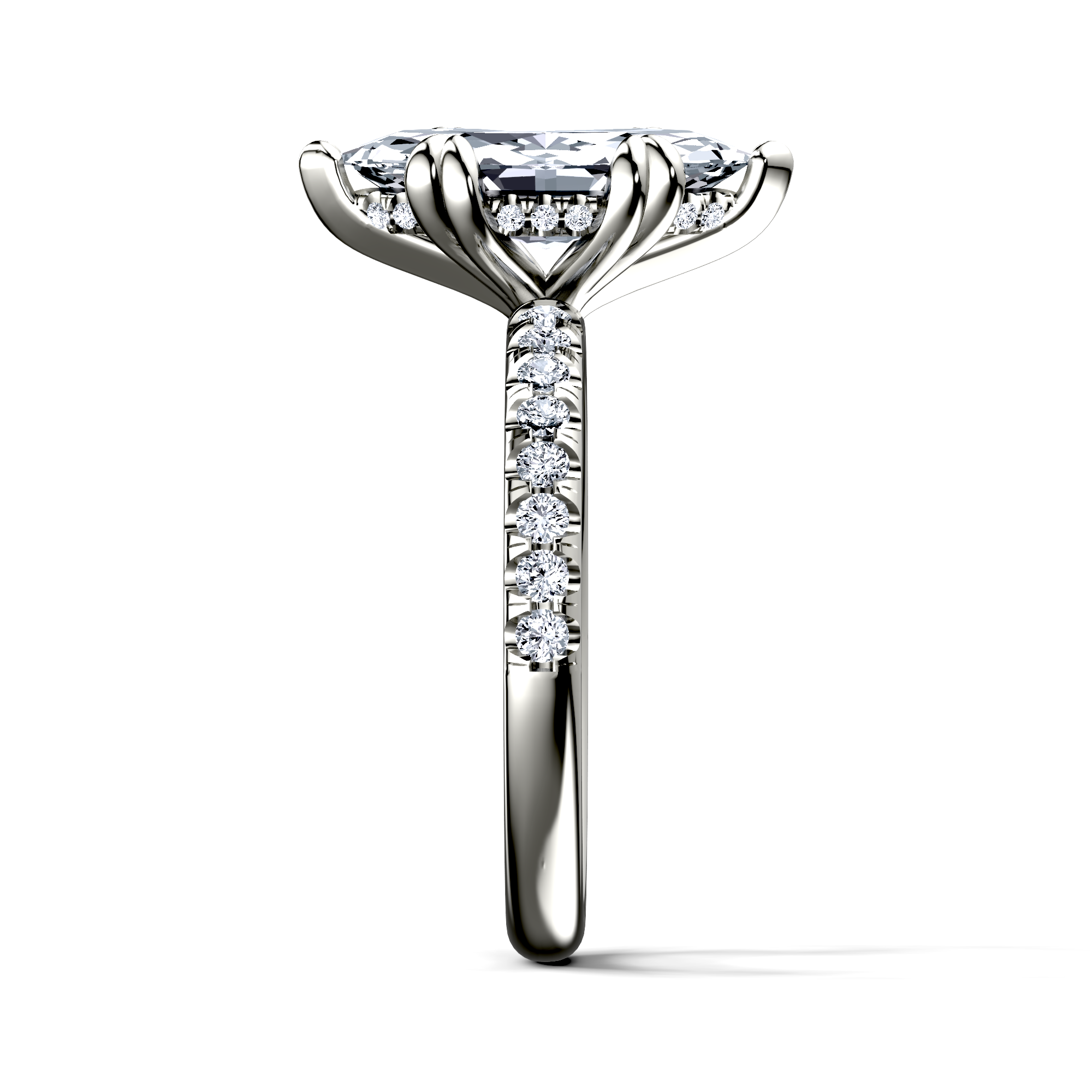 Image for The Amara