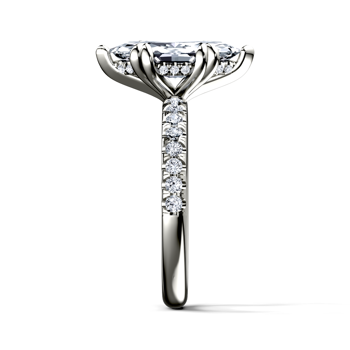 Image for The Amara