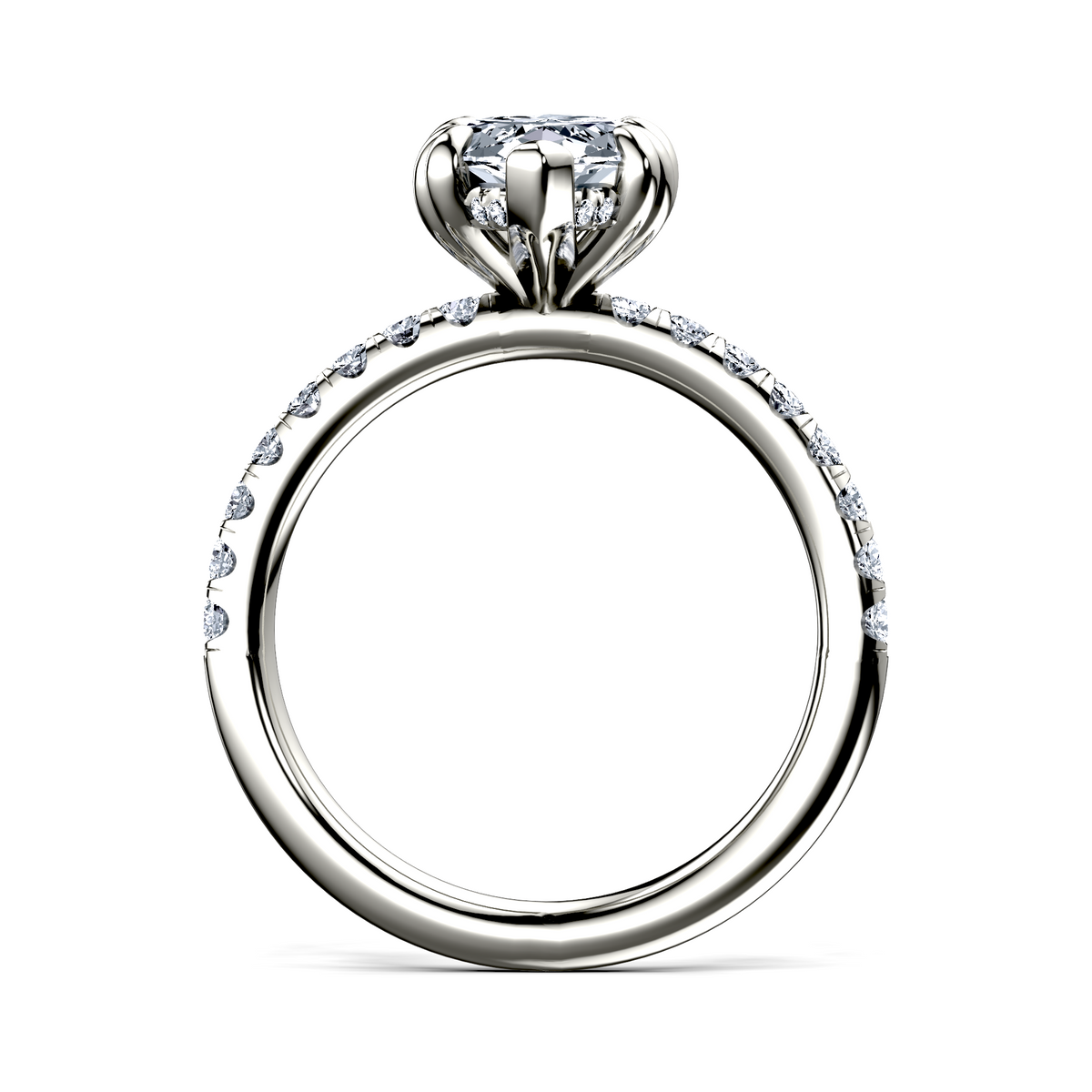 Image for The Amara
