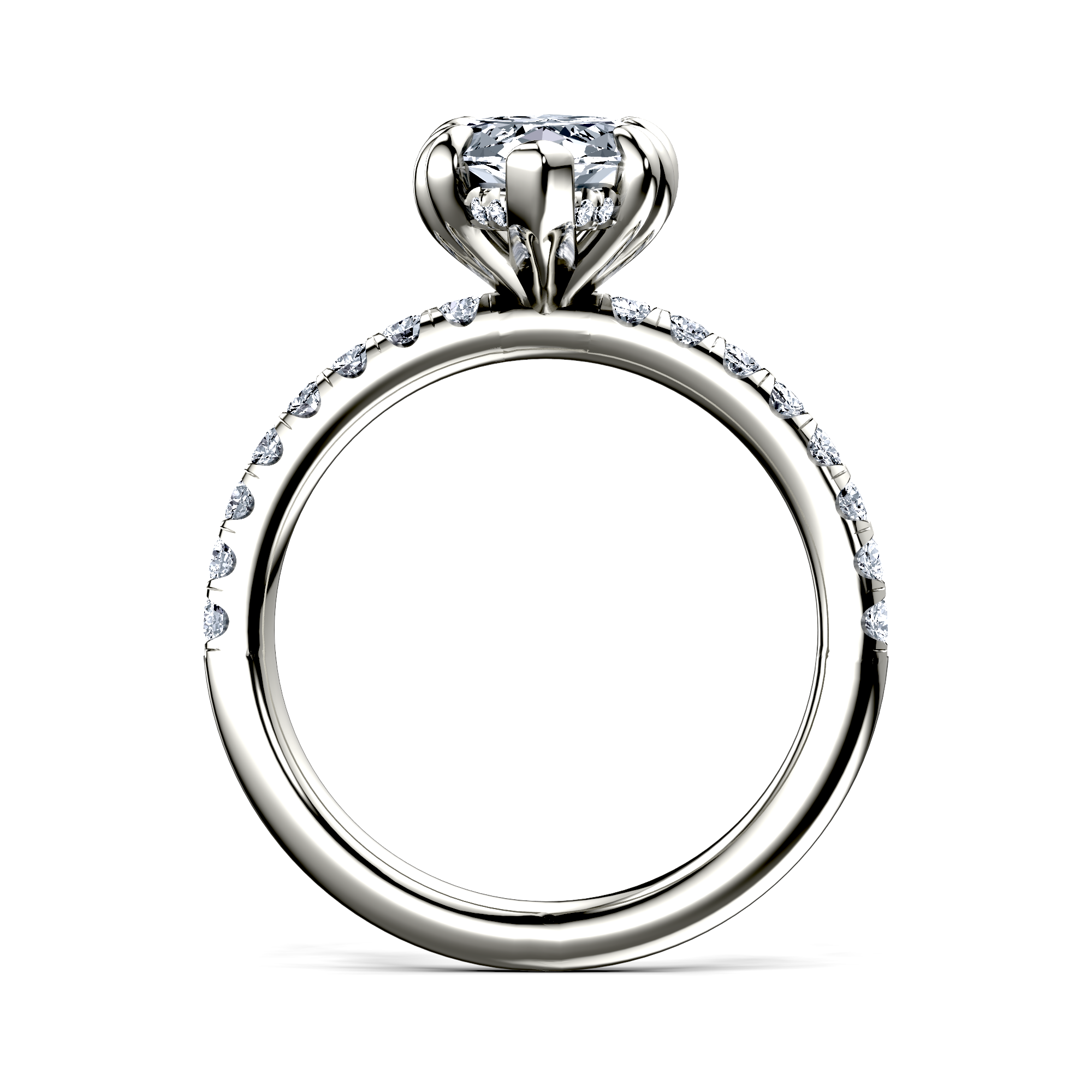 Image for The Amara