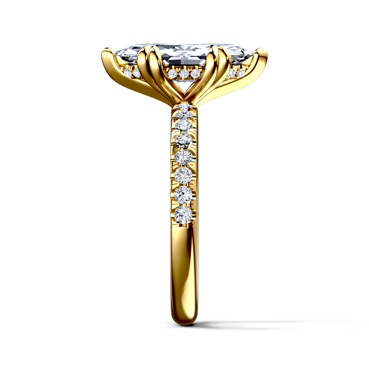 Image for The Amara