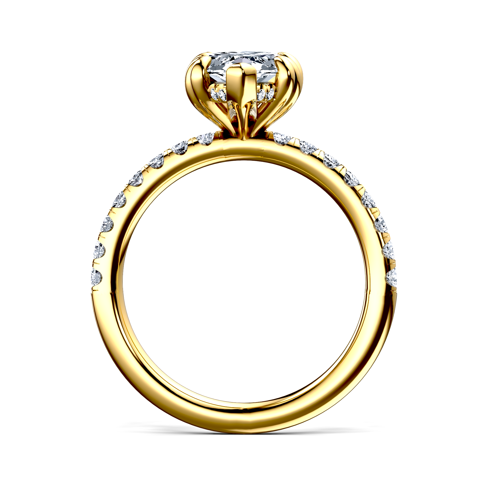 Image for The Amara