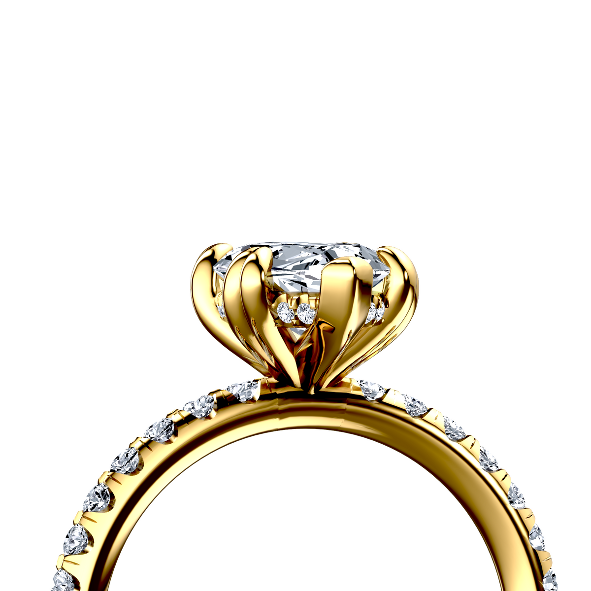 Image for The Amara