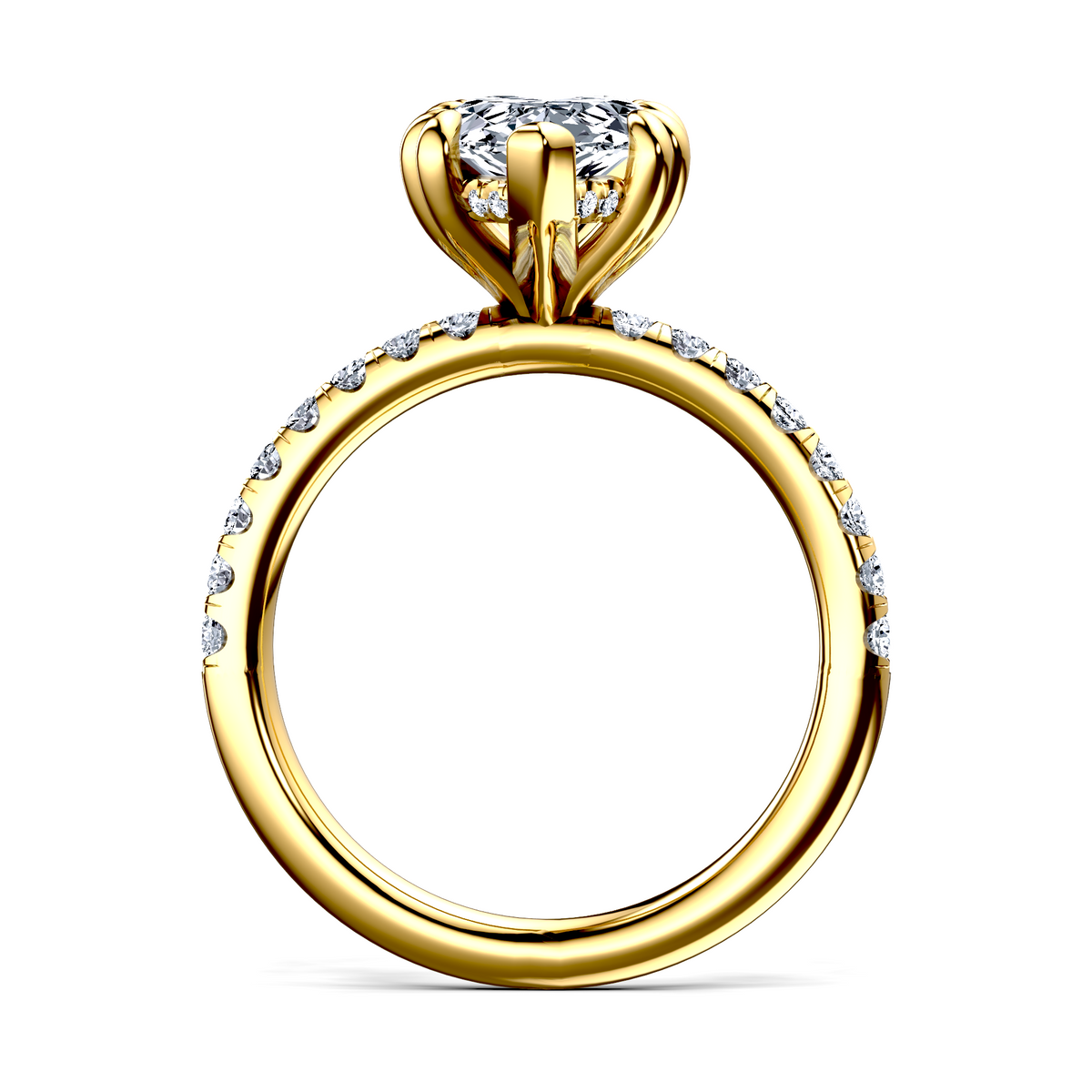 Image for The Amara