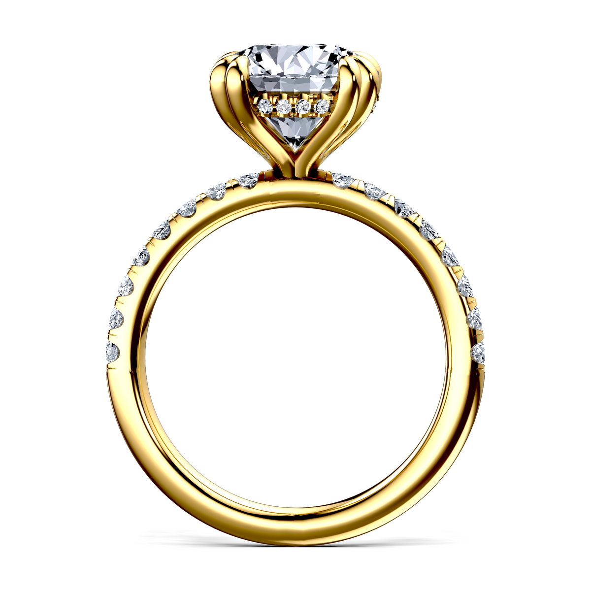 Image for The Amara