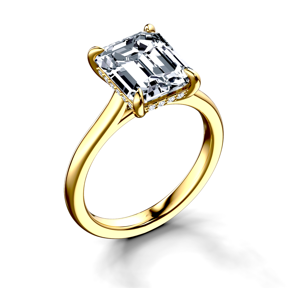 Image for The Emilia