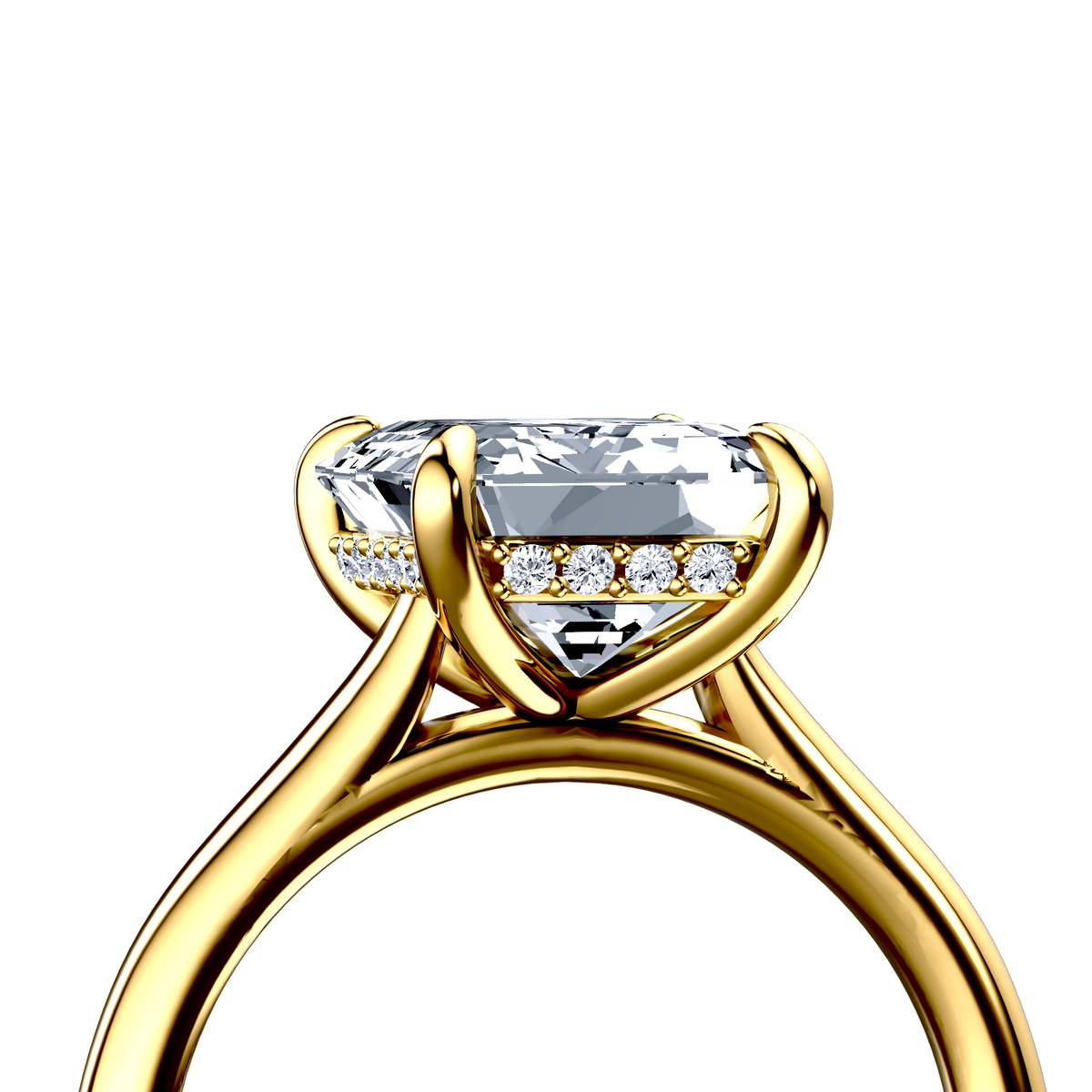 Image for The Emilia