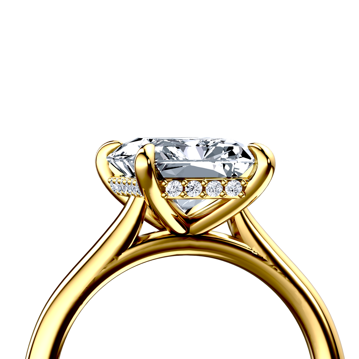 Image for The Emilia