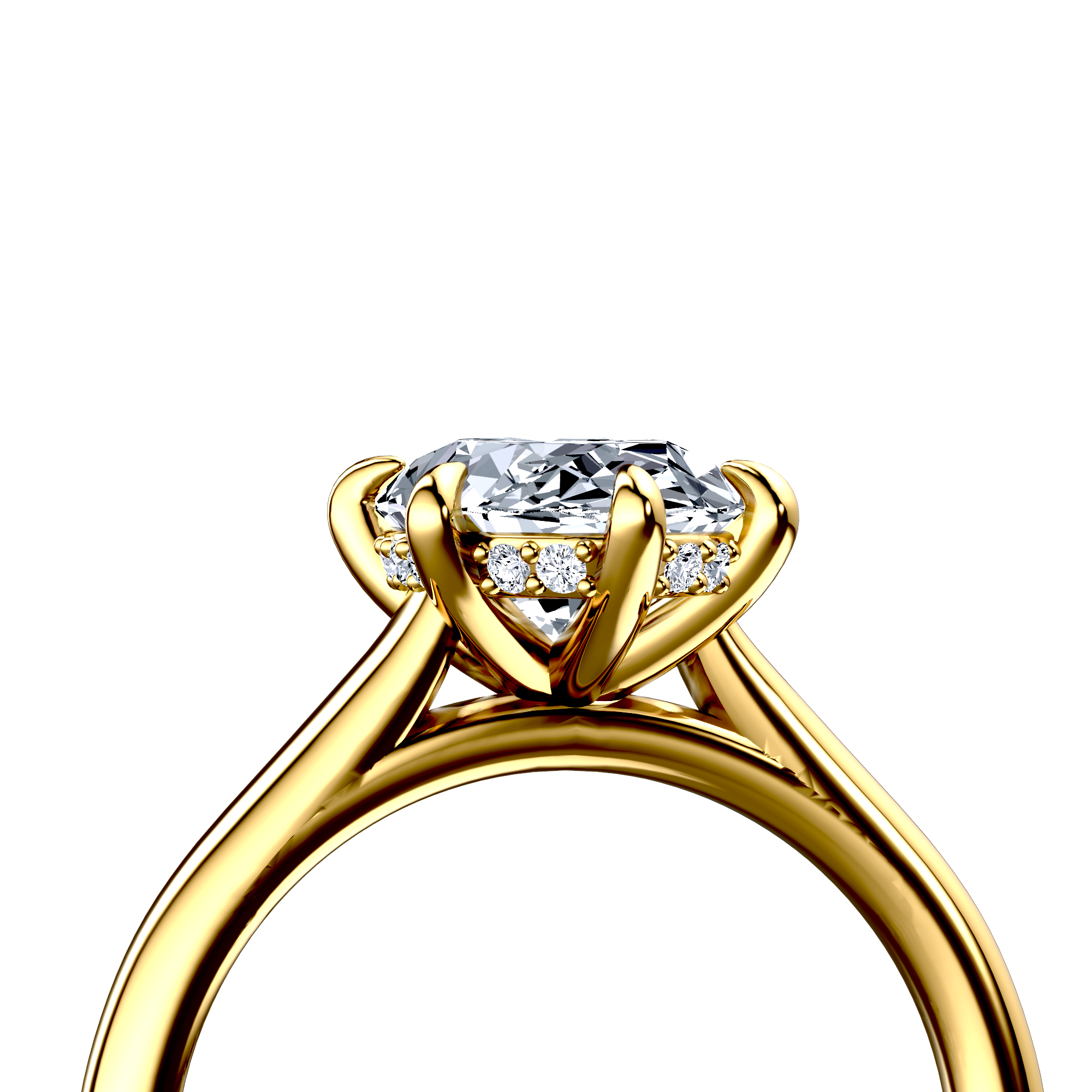 Image for The Emilia