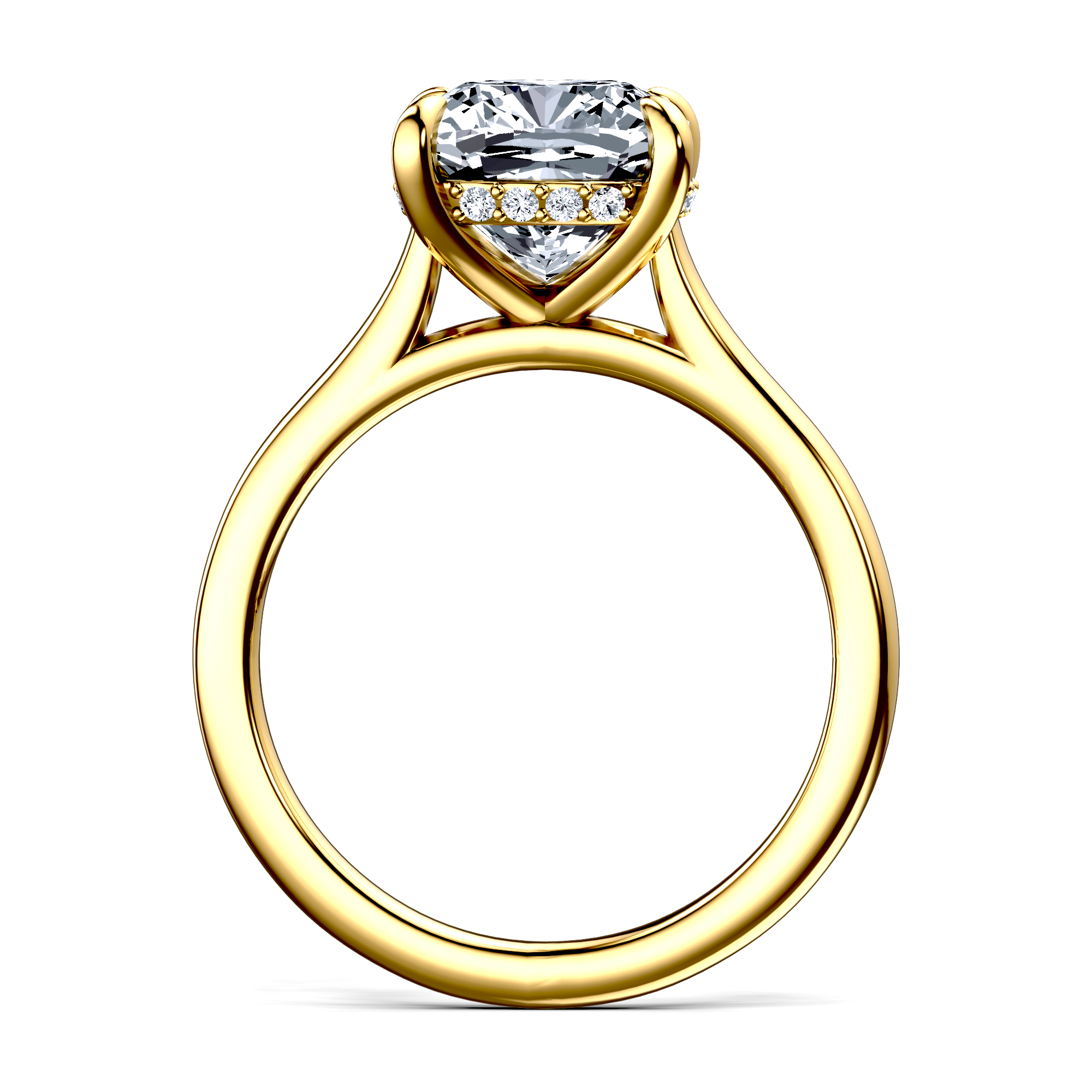 Image for The Emilia