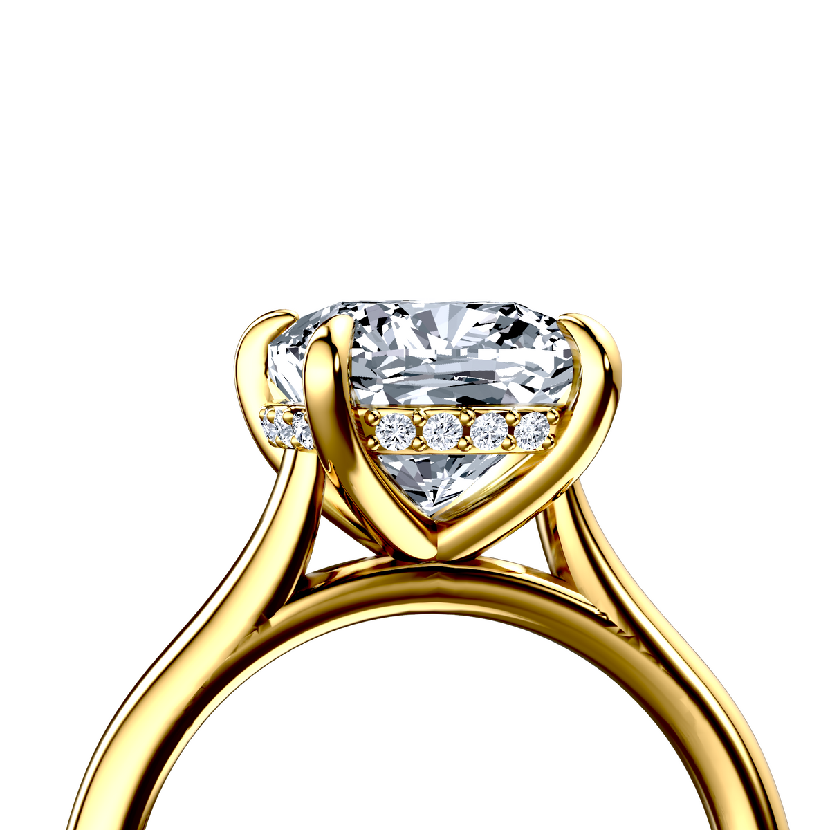 Image for The Emilia