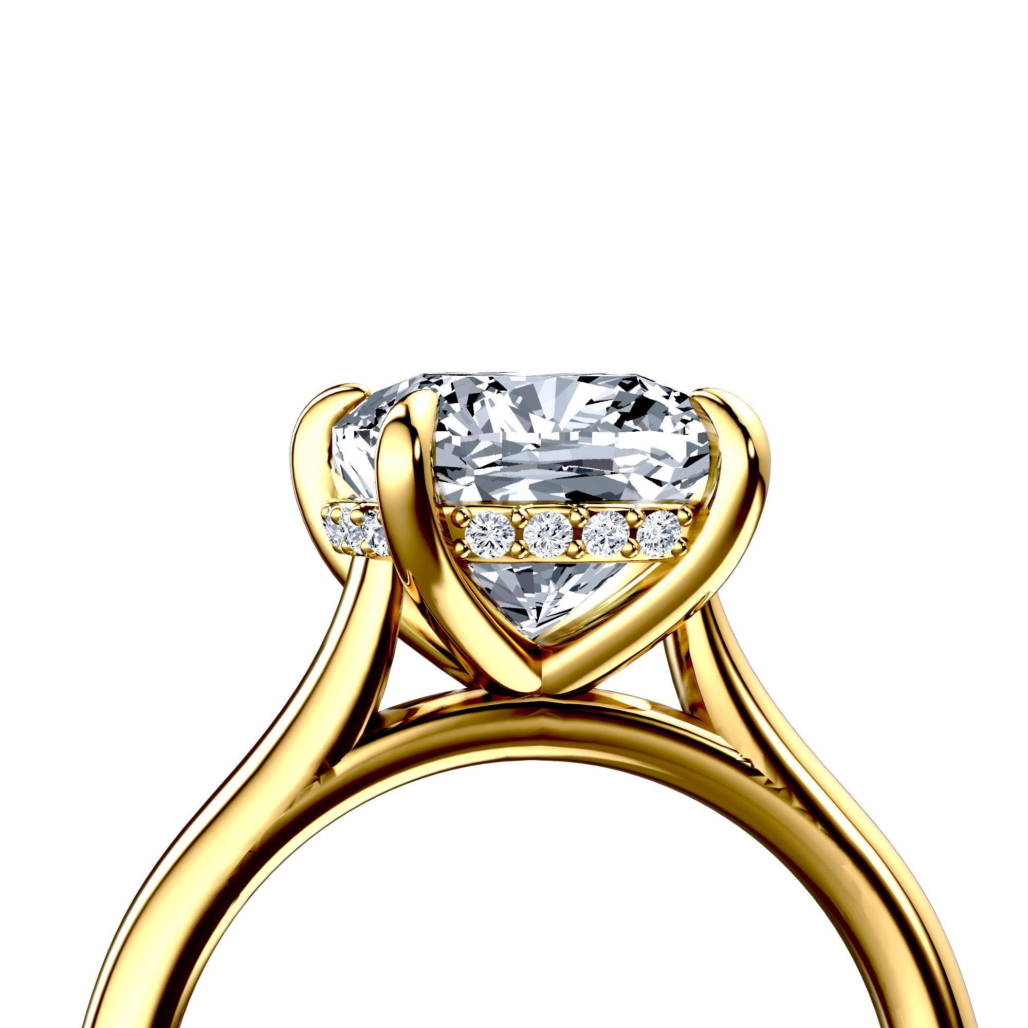 Image for The Emilia