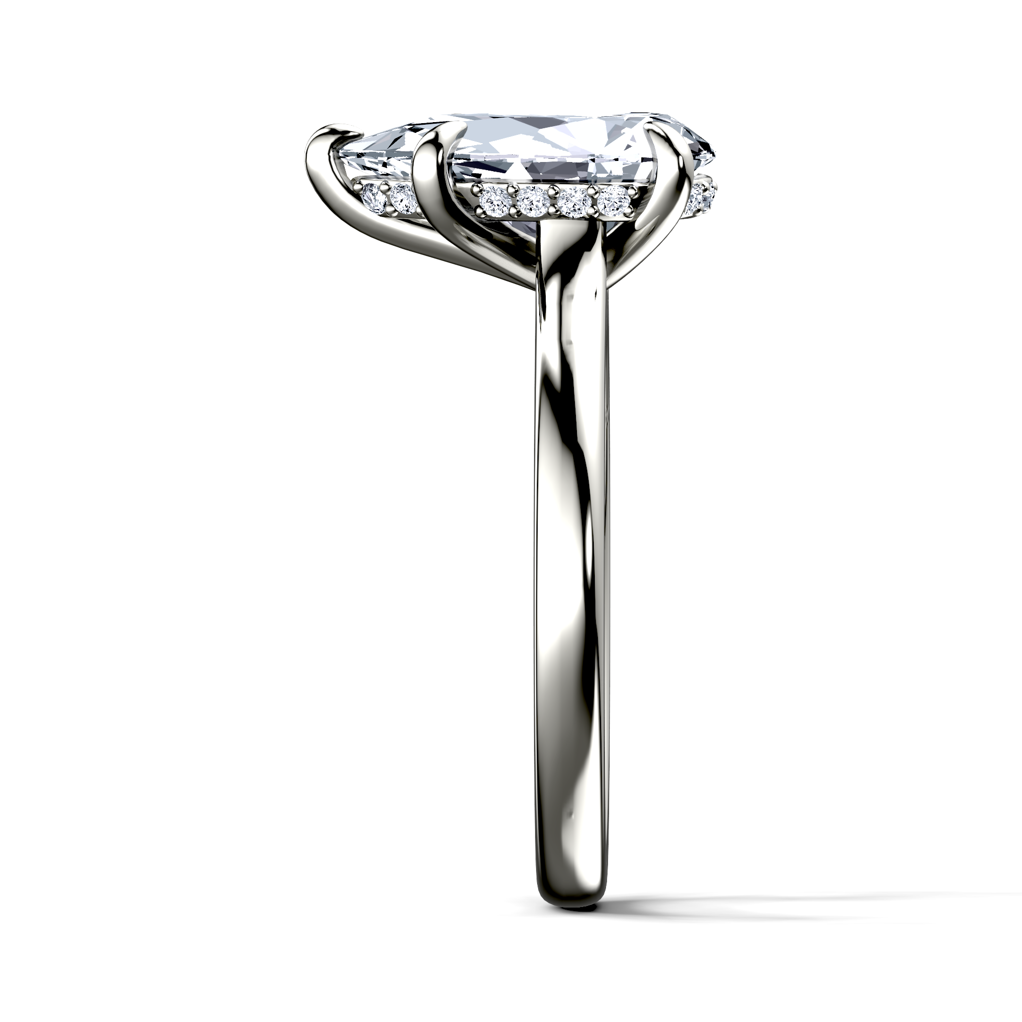 Image for The Emilia