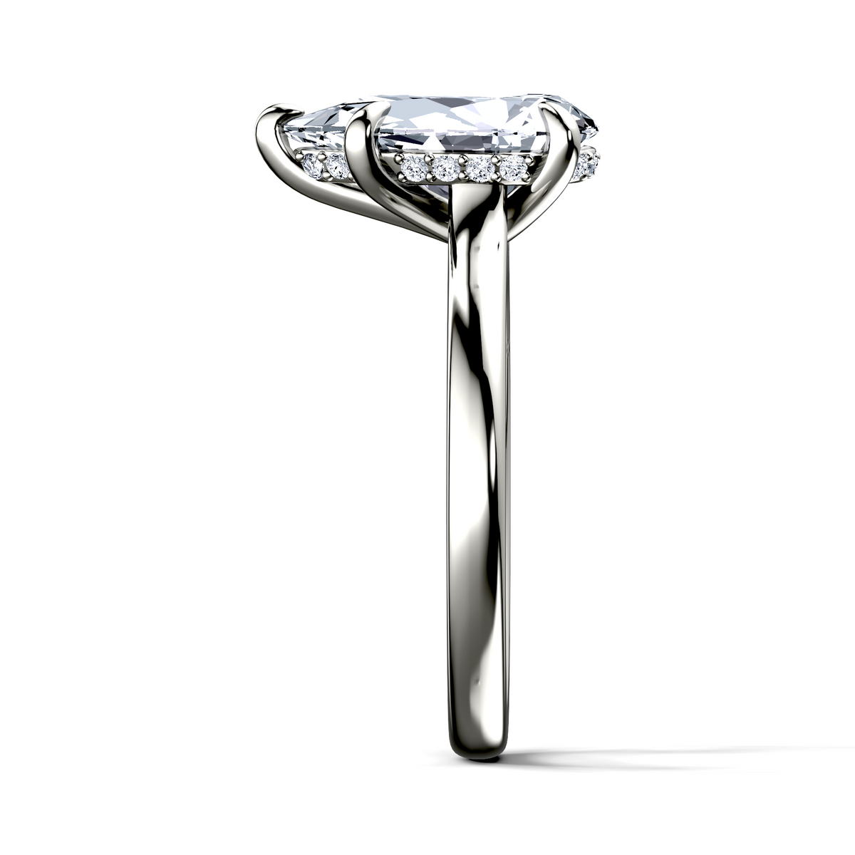 Image for The Emilia