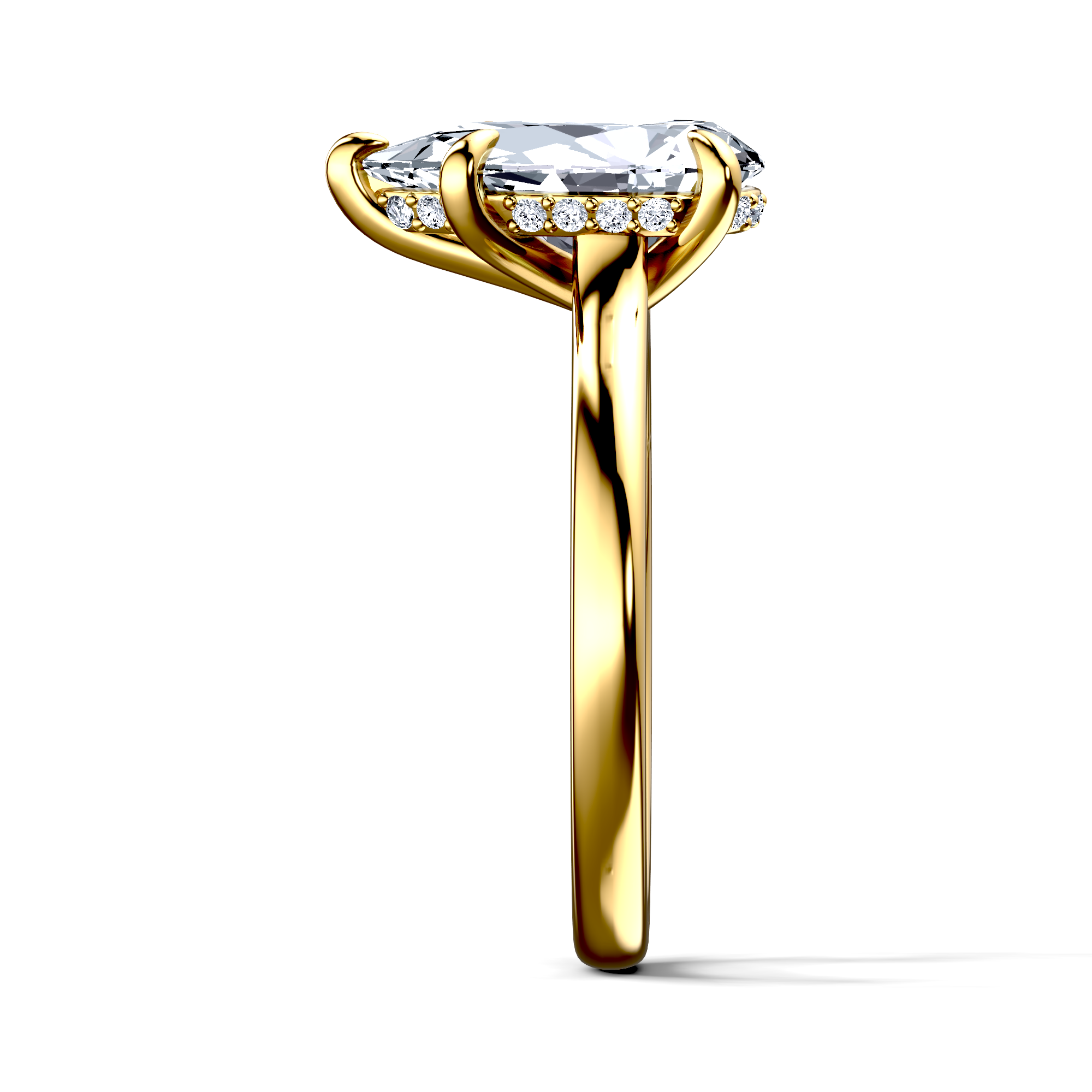 Image for The Emilia