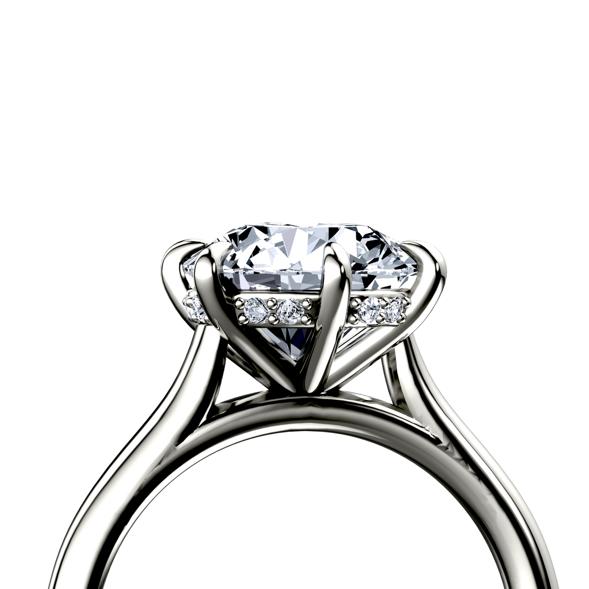 Image for The Emilia