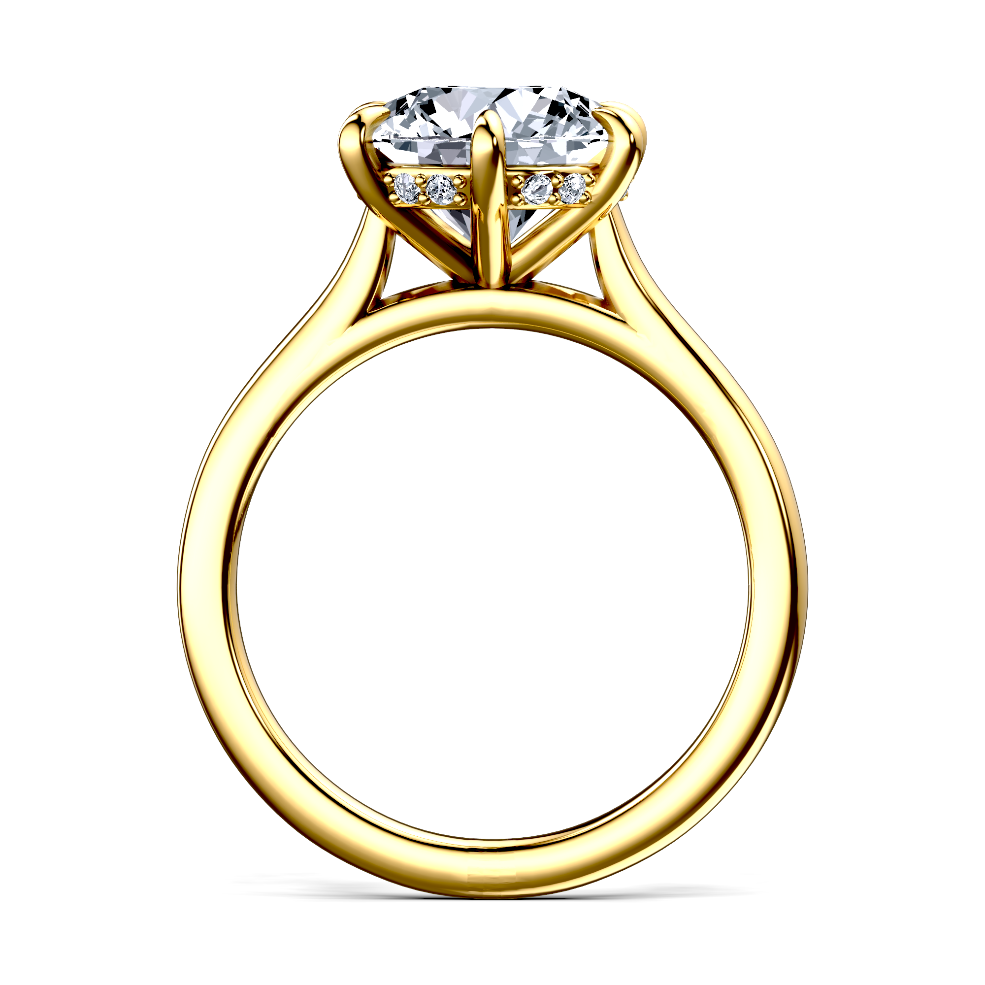 Image for The Emilia