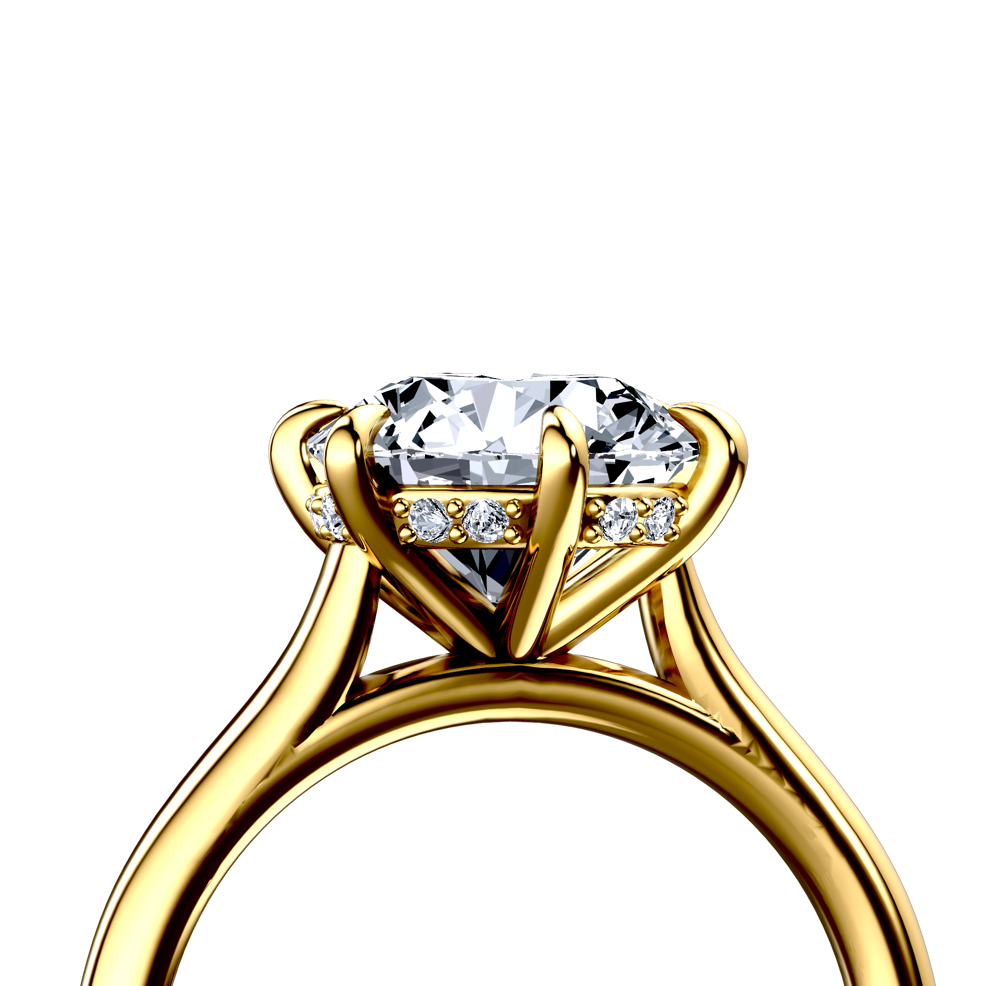 Image for The Emilia